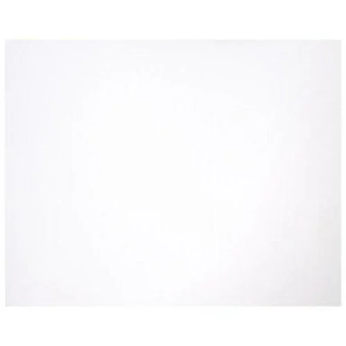 White Poster Board 22in x 28in