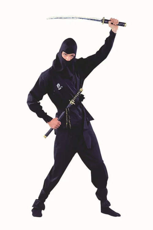 Shadow Stealth Ninja