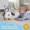 Fisher-Price Plush Tummy Time Toy, Flap & Wobble Penguin, Newborn Musical Toy