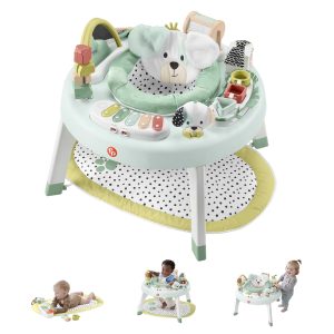 Fisher Price Clack & Quack Goose Baby Toy With Fine Motor Activity For Newborns