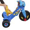 Fisher-Price Nickelodeon Paw Patrol Lights & Sounds Trike