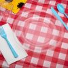 Red Gingham Plastic Table Cover