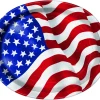 USA Flag 12" Paper Oval Plates | 8 Count