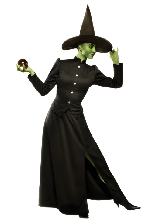 funny Classic Witch