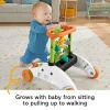Fisher-Price 2-Sided Steady Speed Panda Walker