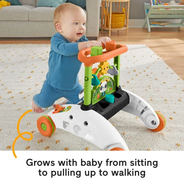 Fisher-Price 2-Sided Steady Speed Panda Walker